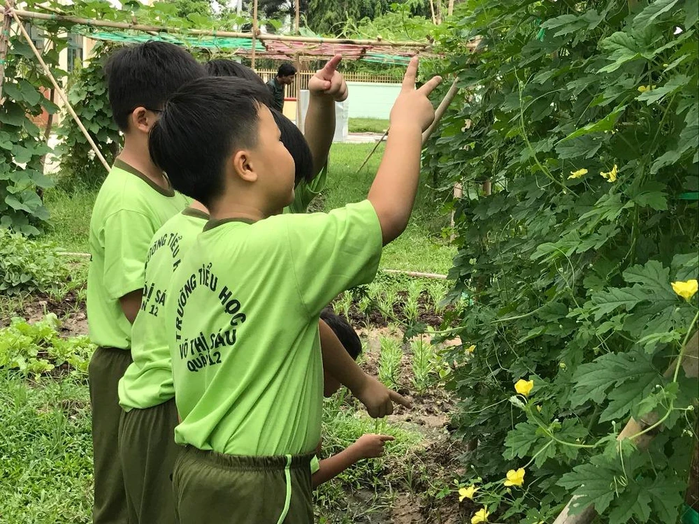 Các em thích thú ngắm thành quả của mình sau một thời gian chăm trồng